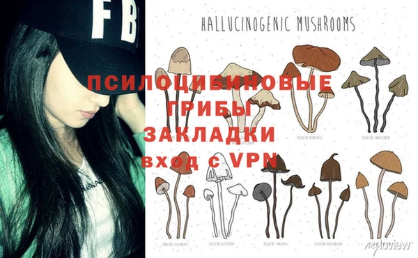 сатива Алексеевка