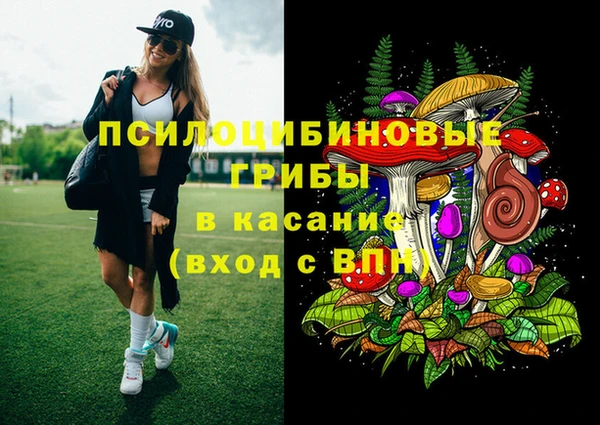 сатива Алексеевка