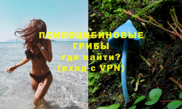 дживик Алзамай