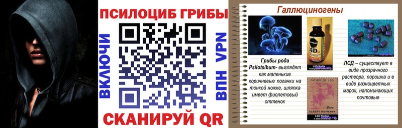 где продают наркотики  Талдом  Псилоцибиновые грибы MAGIC MUSHROOMS 