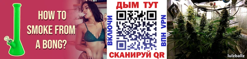 наркошоп  Талдом  Бошки марихуана планчик 